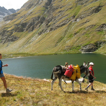 Randonnée avec âne France Alpes du Sud