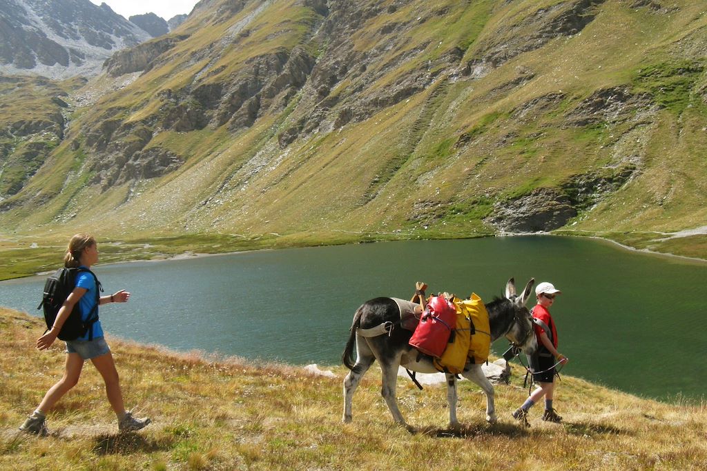 Image Randonnée Alpes du Sud - Randonnée famille - Randonnée Queyras