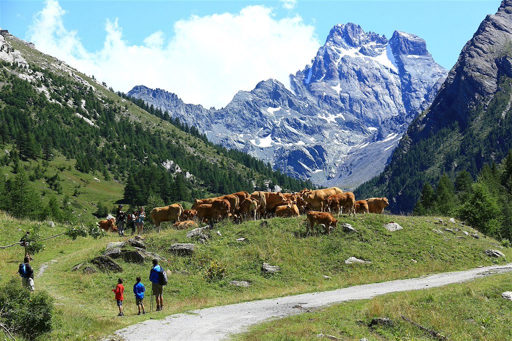Image Randonnée Alpes du Sud - Randonnée famille - Randonnée Queyras