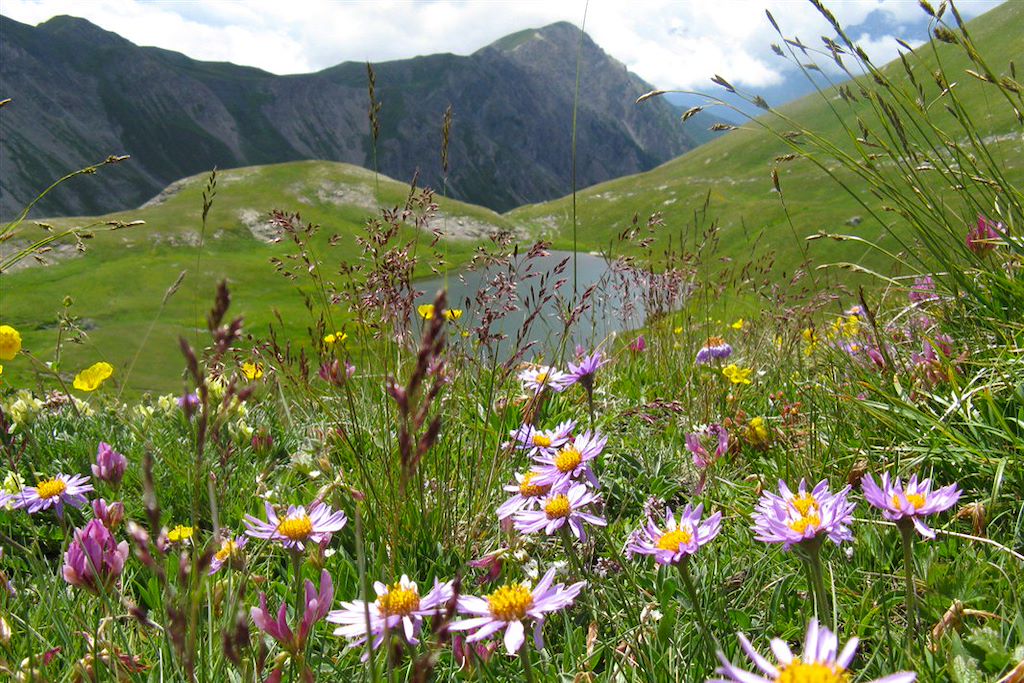 Image Randonnée Alpes du Sud - Mont Thabor et Val Maira - GTA Queyras
