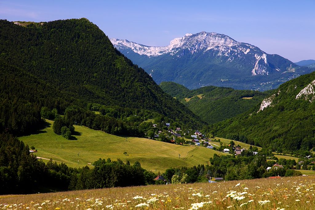 Image Randonnée avec un âne - Rando Vercors