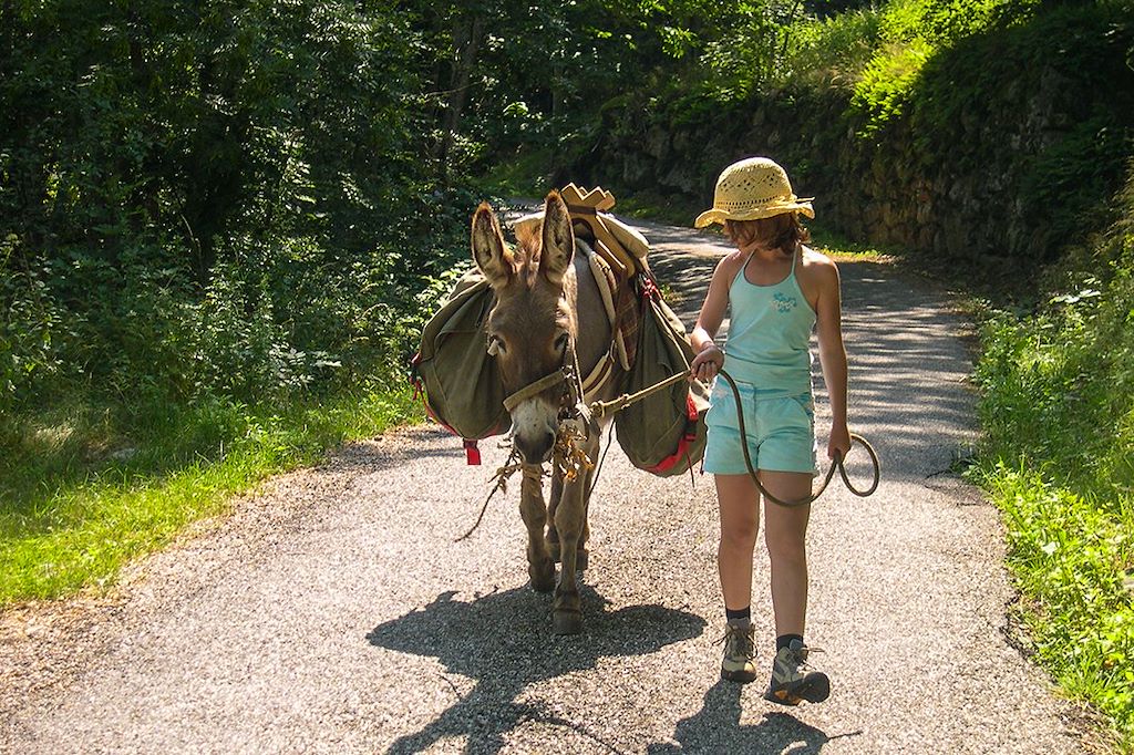 Image Randonnée avec un âne - Rando Vercors