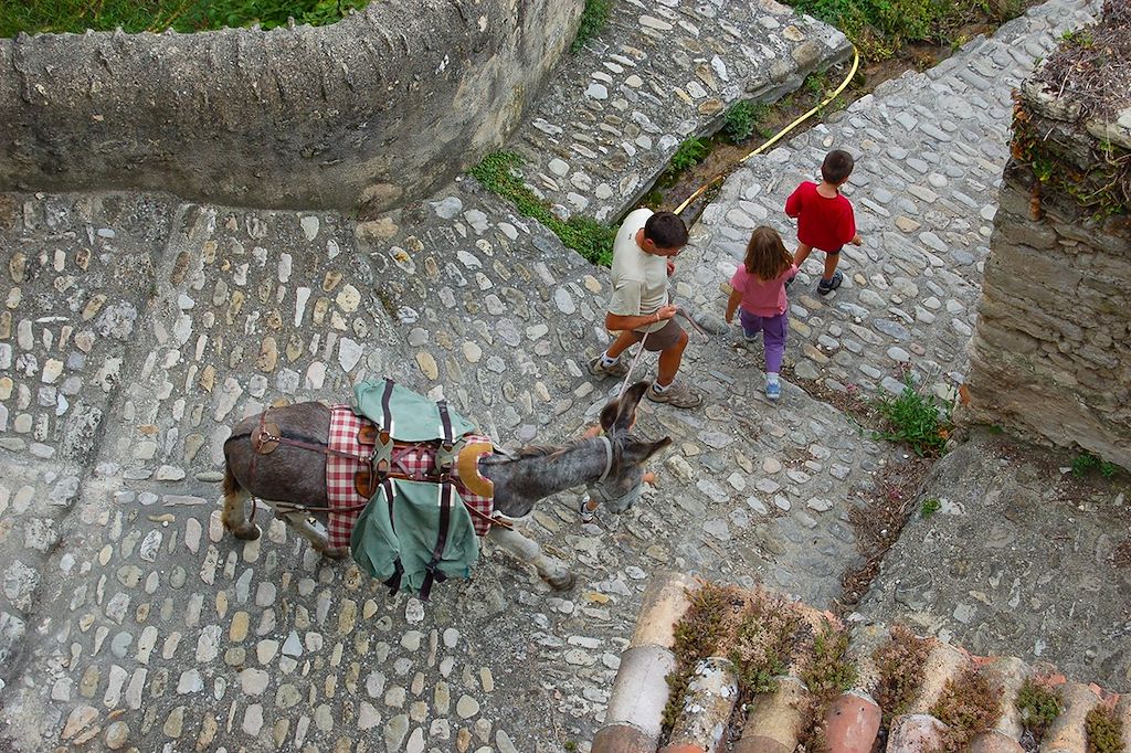 Image Randonnée avec un âne - Rando Vercors