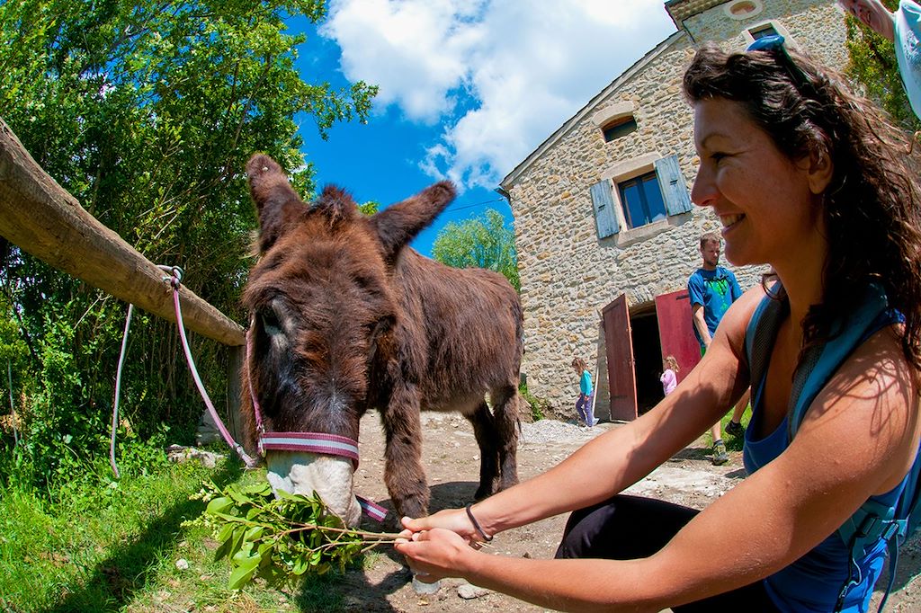 Image Randonnée avec un âne - Rando Vercors