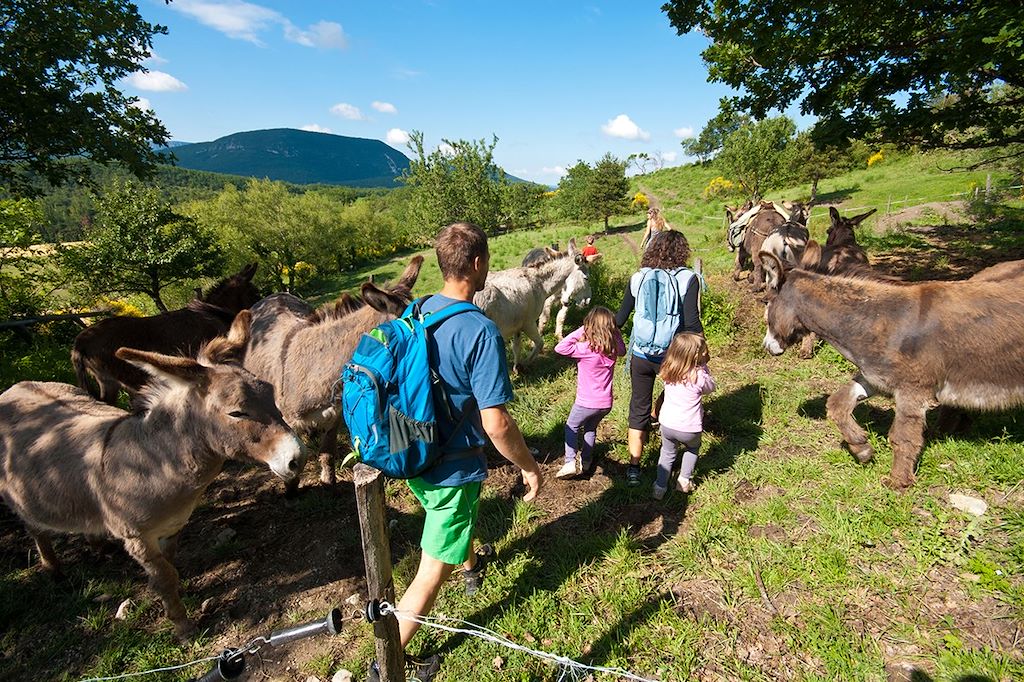 Image Randonnée avec un âne - Rando Vercors