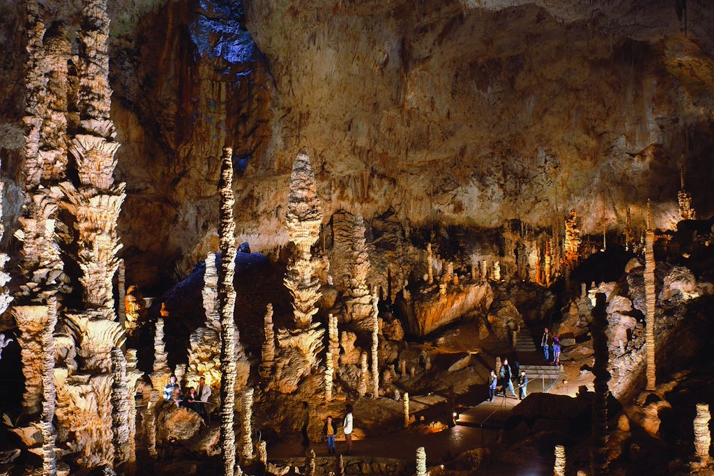 Image Randonnée avec un âne - Rando Ardèche - Gorges de l'Ardèche