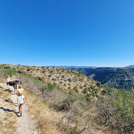 Randonnée avec âne France Massif Central