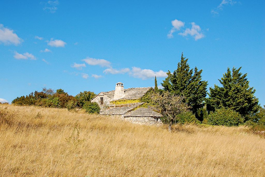 Image Rando Causse - Larzac avec un âne - randonnée au cirque de navacelles