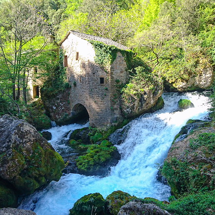 Randonnée avec âne France Massif Central