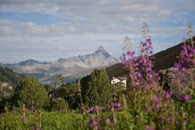 Le massif du Queyras - France