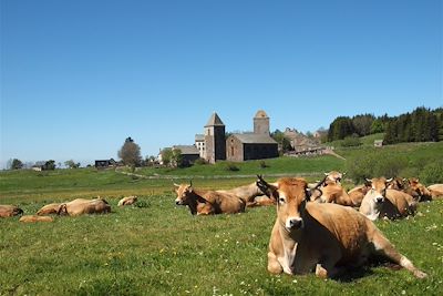 Traversée du Massif Central : du Cantal à l'Aubrac - France
