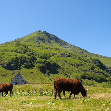 Randonnée France Massif Central
