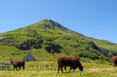 Traversée du Massif Central : du Cantal à l'Aubrac - France