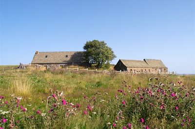 Traversée du Massif Central : du Cantal à l'Aubrac - France
