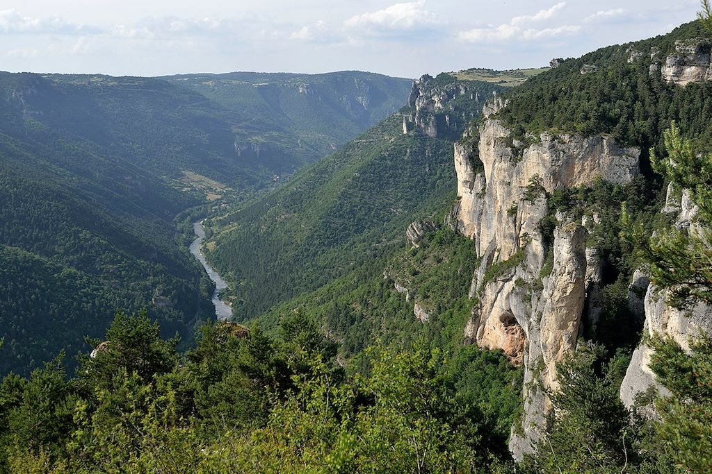 Image GTMC - Randonnée gorges du Tarn - Randonnée Massif Central