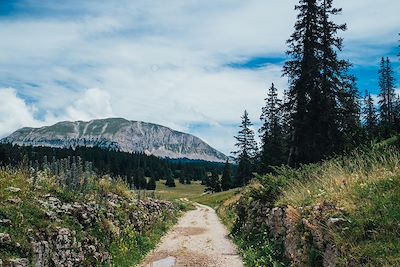 Voyage  Alpes du Nord
