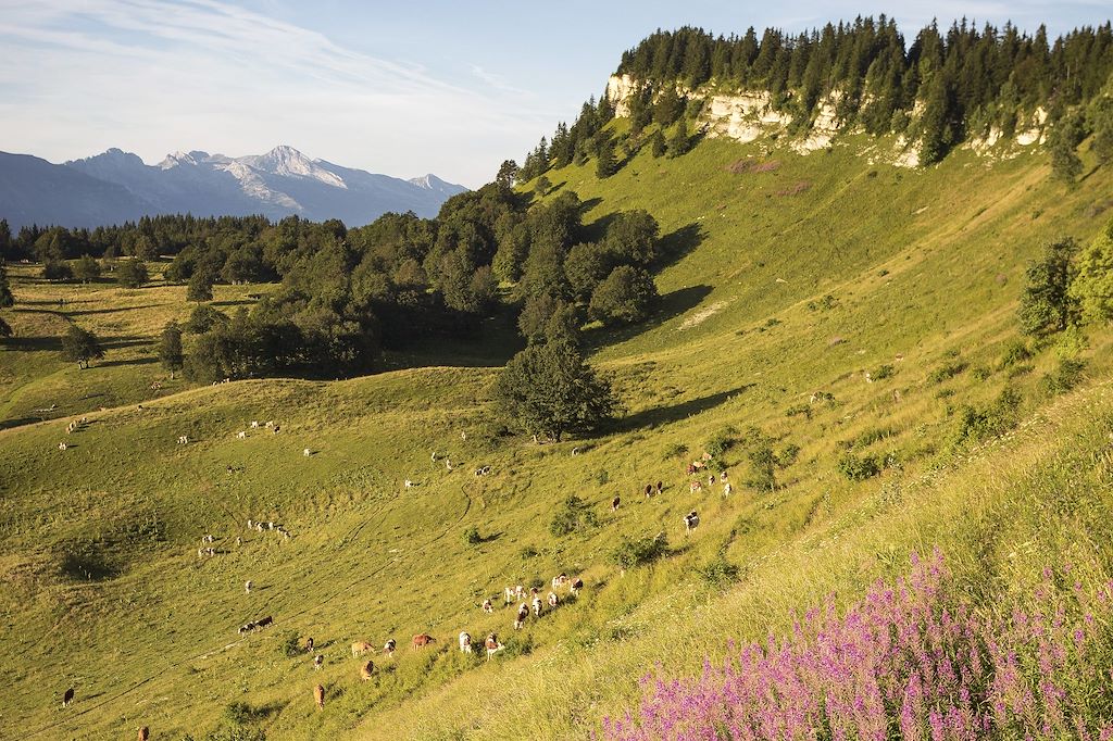 Image Randonnée Vercors - rando Lans en Vercors - tour Vercors
