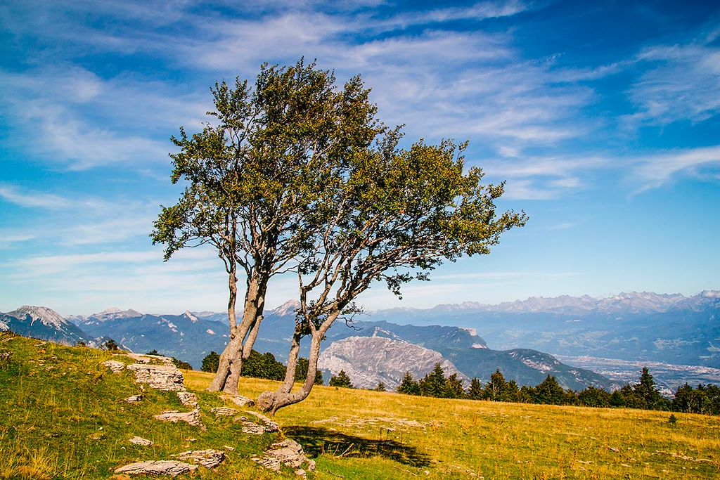 Image Rando Vercors - 4 montagnes - Massif Vercors