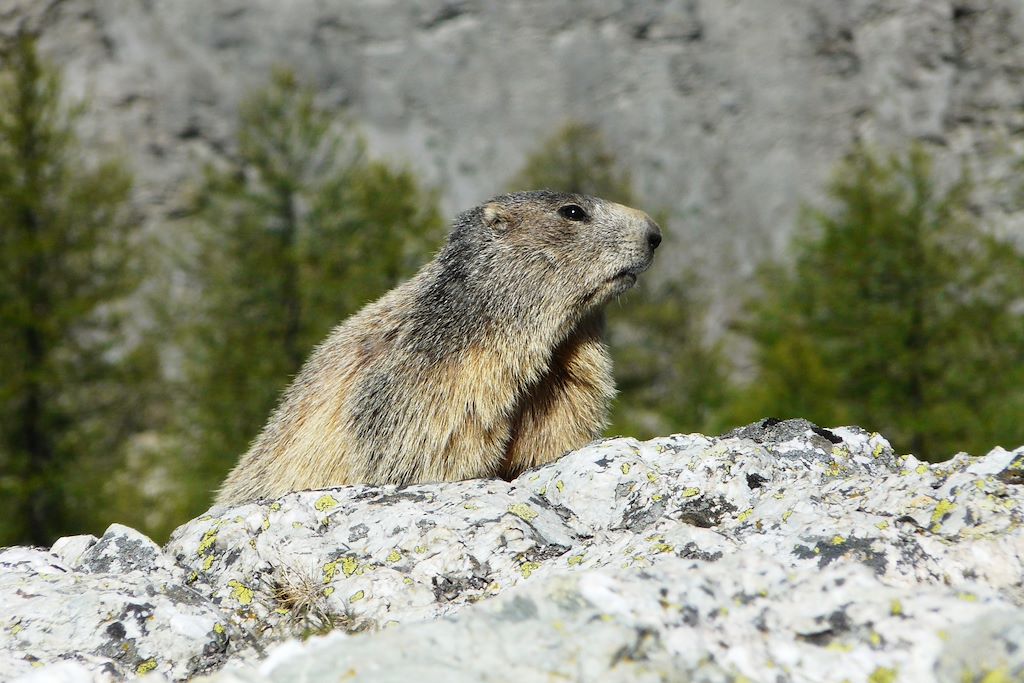 Image Randonnée Piémont italien