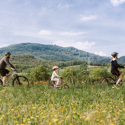 La route des vins d'Alsace à vélo électrique