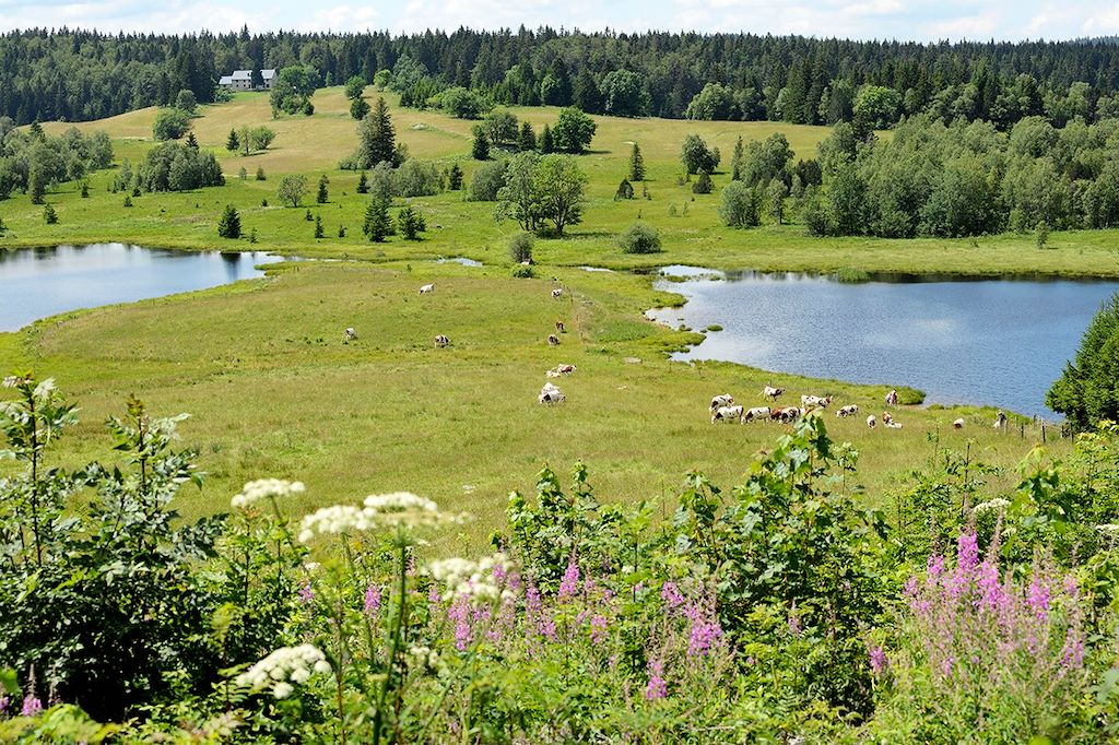 Image Randonnée Jura - Traversée Jura - Randonnée Les Rousses