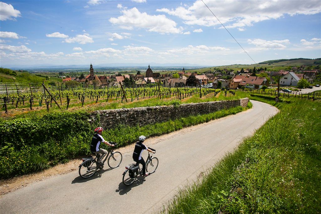 Image Alsace à vélo - Route des vins d'Alsace - Vignobles à vélo