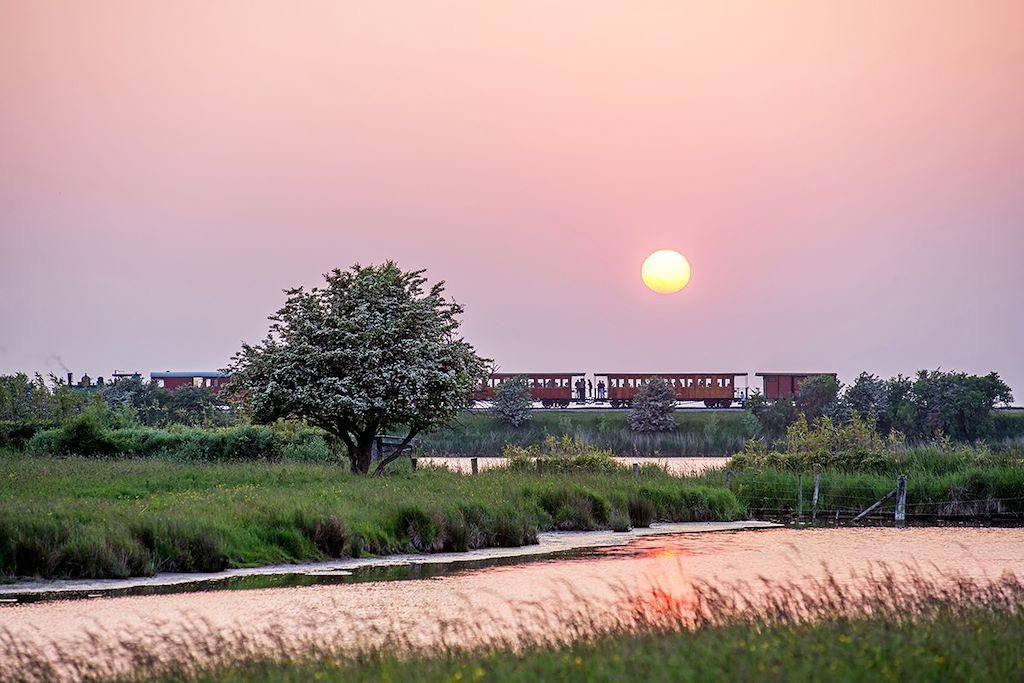 Image Voie verte de la baie de Somme - Le Crotoy à vélo - Eurovélo 4