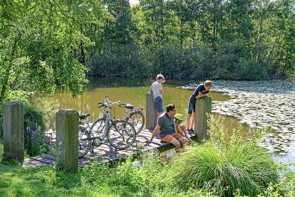 Image Voie verte de la baie de Somme - Le Crotoy à vélo - Eurovélo 4
