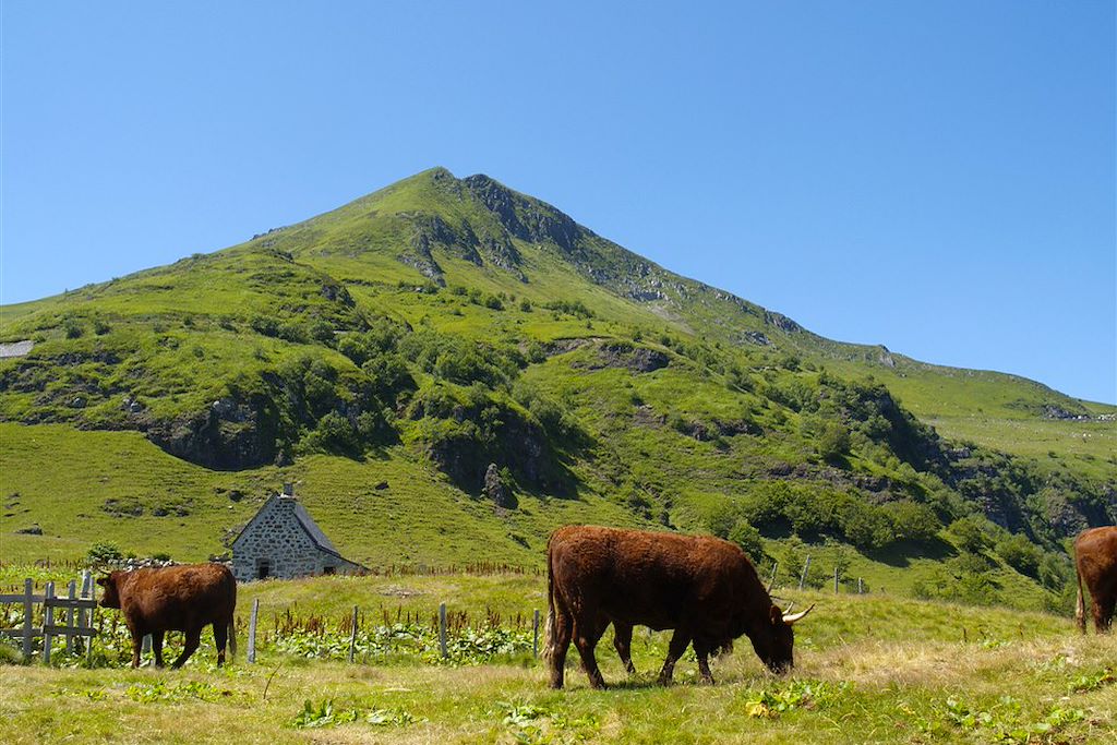 Image Grande Traversée du Massif Central - Randonnée Volcans d'Auvergne - Trek Cevennes - GTMC