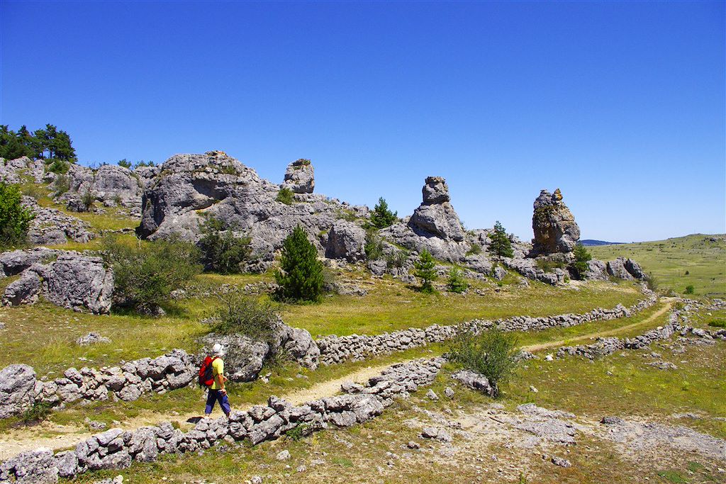 Image Grande Traversée du Massif Central - Randonnée Volcans d'Auvergne - Trek Cevennes - GTMC
