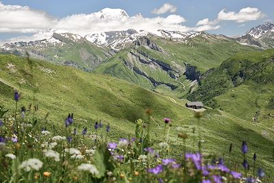 Vers la Roche Parstire - Beaufortain - Savoie - France