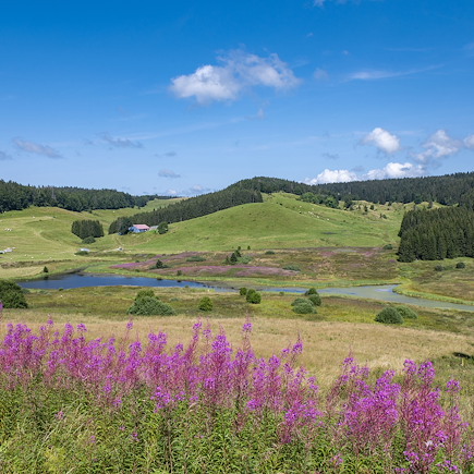 Micro-aventure France