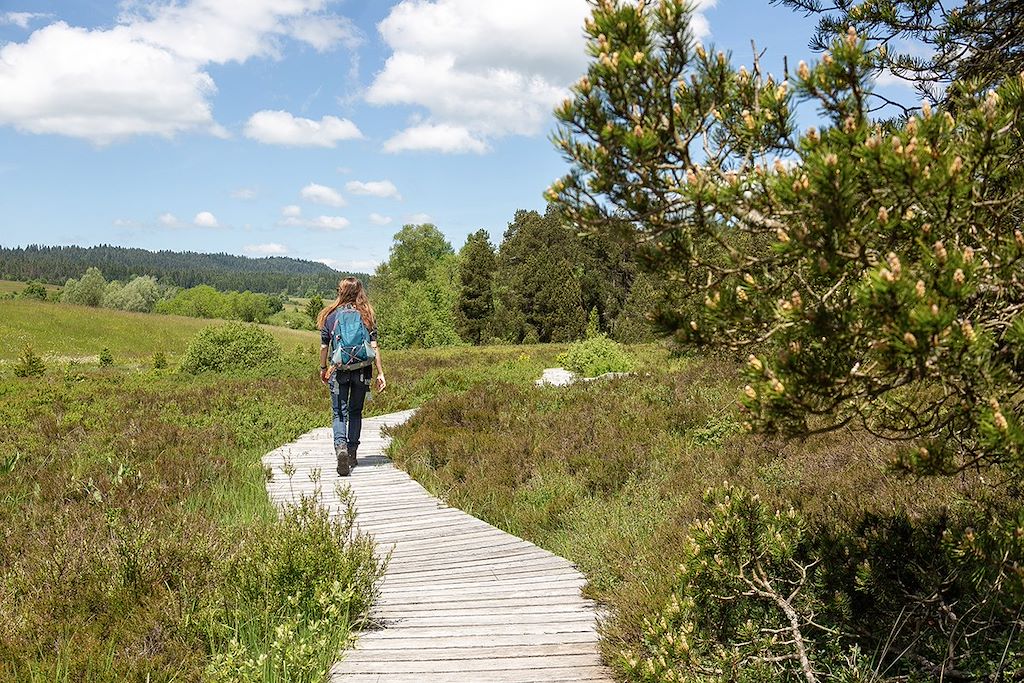 Image Randonnée Jura - Bien-être Jura