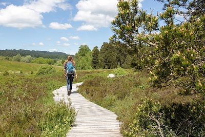 Tourbière de Prénovel - Jura - France