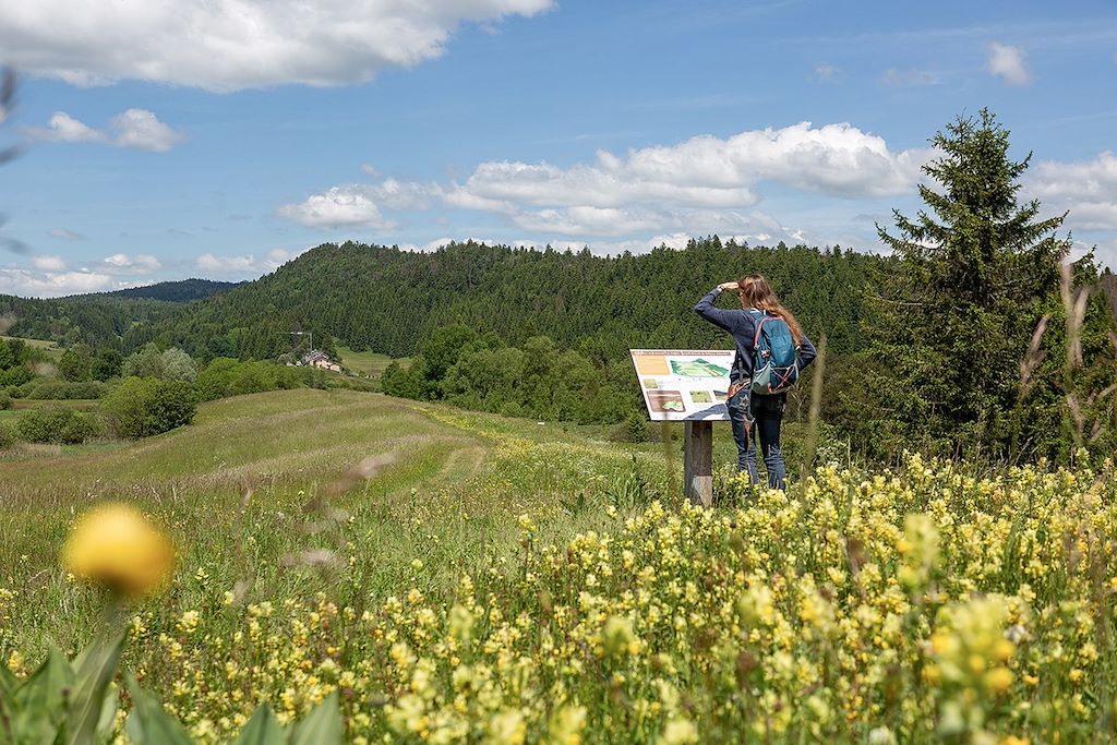 Image Randonnée Jura - Bien-être Jura