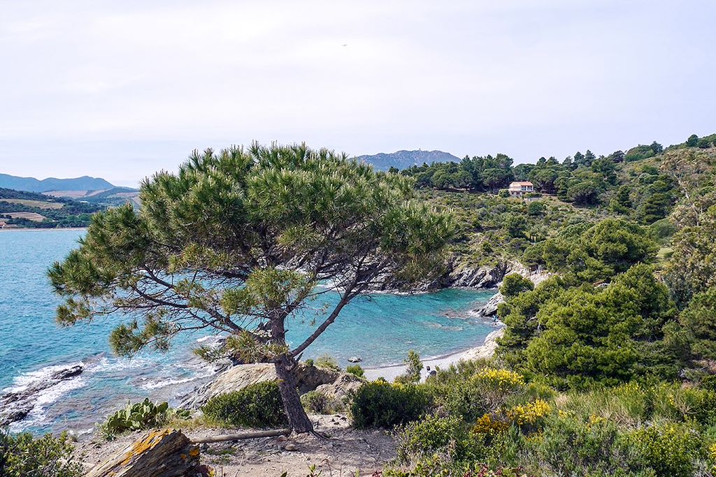 Image Randonnée Collioure – Côte Vermeille – Randonnée Banyuls - Cadaquès