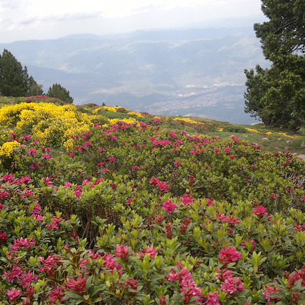 Randonnée France Pyrénées espagnoles