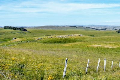 Paysage d'Aubrac - France