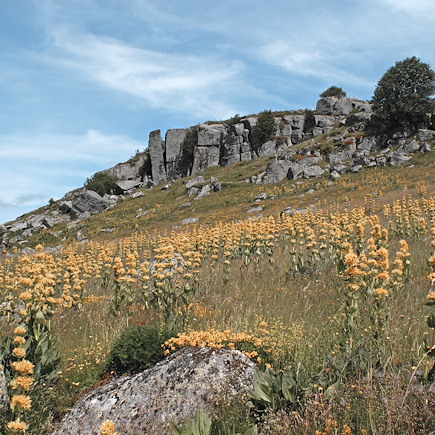 Randonnée France Massif Central