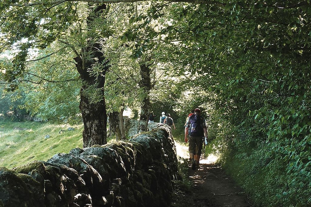 Image Randonnée Aubrac - Randonnée Massif Central