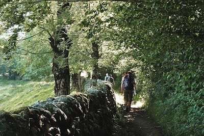 Aubrac - Occitanie - France