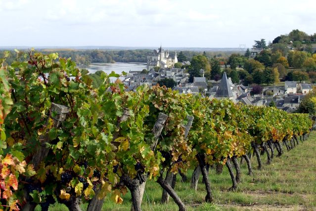 Image Loire, châteaux et vignes de Blois à Saumur à vélo
