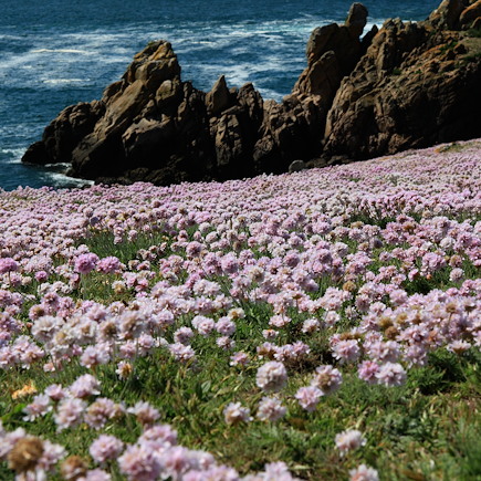 Découverte France Bretagne - Normandie
