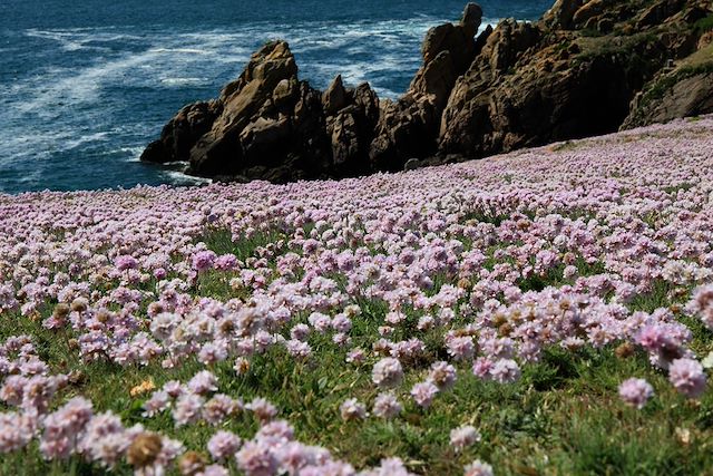 Voyage Les îles de la Bretagne Sud 