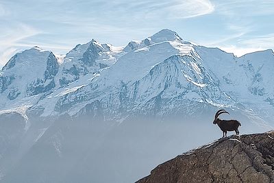 Col de barmerousse - La Vanoise - Alpes - France