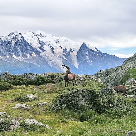 Randonnée France Alpes du Nord