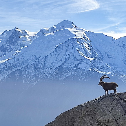 Randonnée France Alpes du Nord