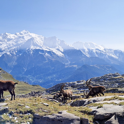 Randonnée France Alpes du Nord