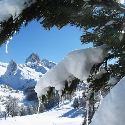 Raquette France Alpes du Sud