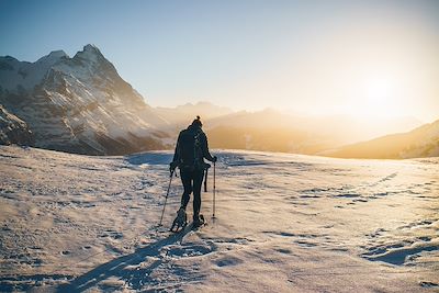 Voyage Alpes du Sud